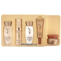 Sulwhasoo Concentrated Ginseng Renewing EX Kit